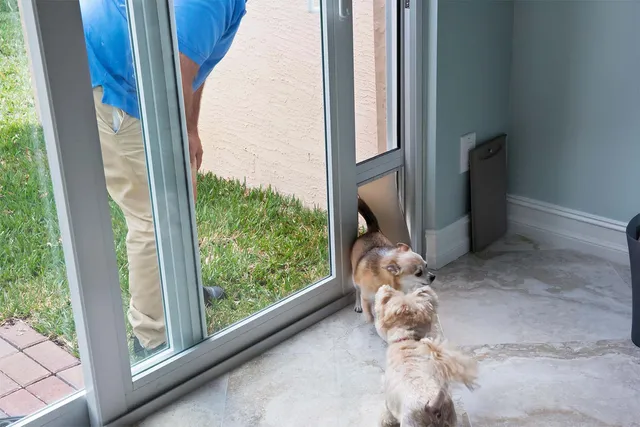 Pet Door Installation and Repair Service in Perth